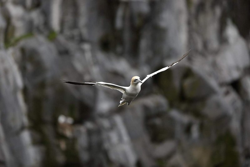 Canon EOS 5D Mark IV 24 - 105mm F/4L IS II USM LensVisit the Canon Store