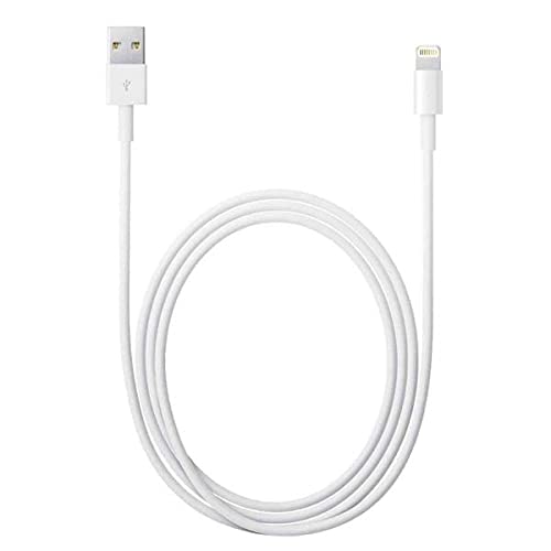 Apple Lightning to USB Cable (1m)