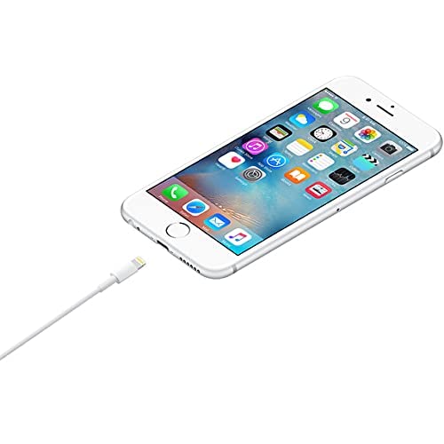 Apple Lightning to USB Cable (1m)