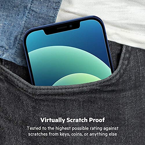 Belkin Privacy Tempered Glass for iPhone 12/12 Pro Screen Protector with Easy Application Tray