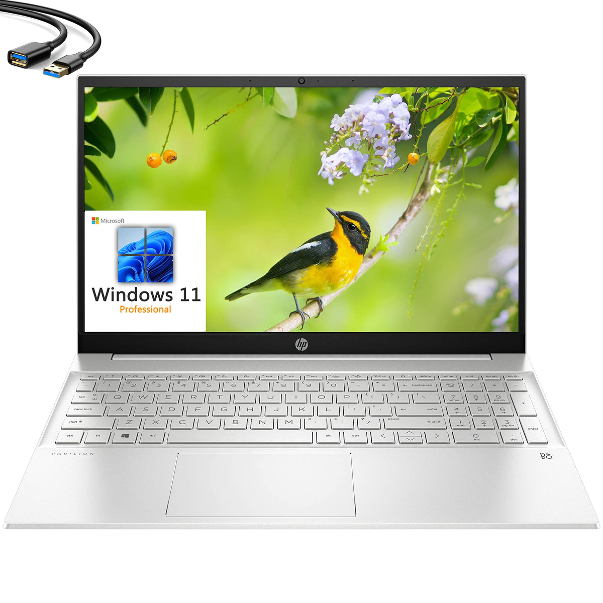 HP 2023 Pavilion 15 15.6" FHD Business Laptop, 12th Gen Intel 10 Cores i7-1255U, 32GB DDR4 RAM, 1TB PCIe SSD, WiFi 6, Bluetooth 5.2, Webcam, Natural Silver, Windows 11 Pro, USB 3.0 Extension Cable